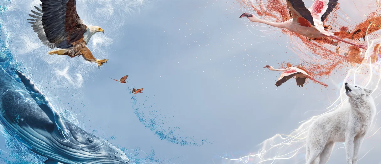 Series Banner