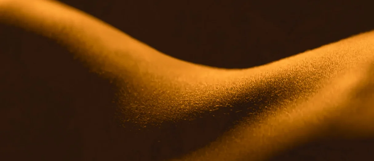 Series Banner