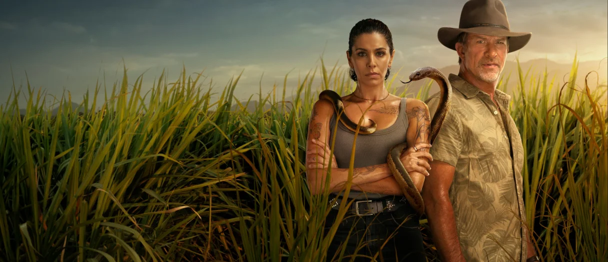 Series Banner